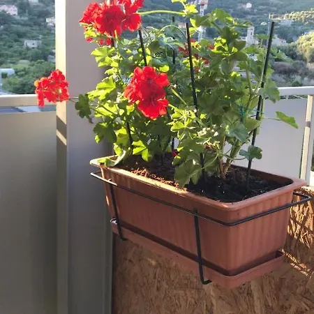 Apartamento Alessandra