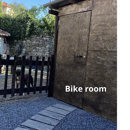 Alessandra * פינאלה ליגורה