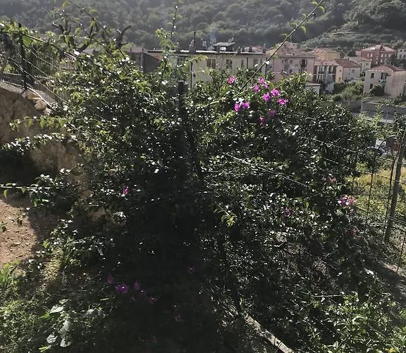 Apartman Alessandra *