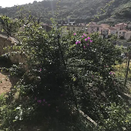 アパート Alessandra *